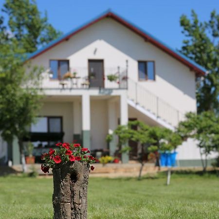 Pensiunea Palaghia Jurilovca Esterno foto
