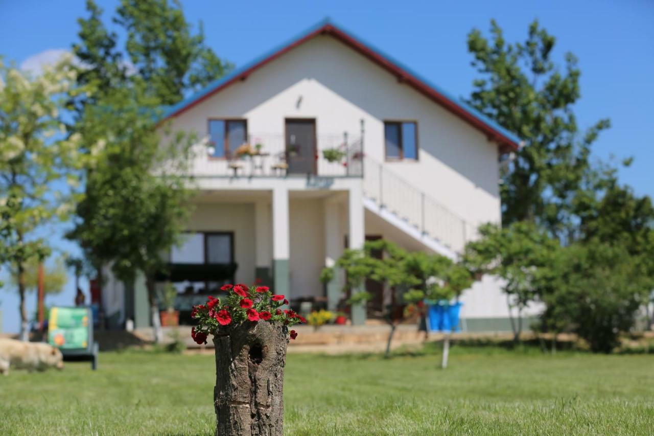 Pensiunea Palaghia Jurilovca Esterno foto