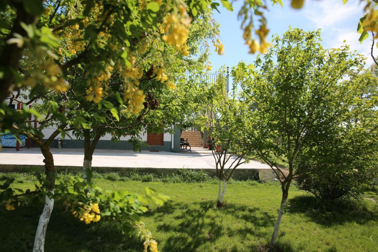 Pensiunea Palaghia Jurilovca Esterno foto
